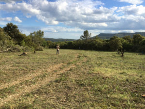 Le terrain vue vers le sud après...