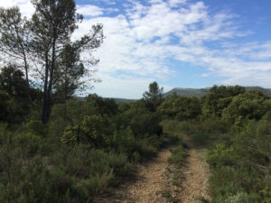 Le terrain avant vue vers le sud